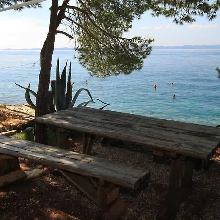 公寓 By The Sea - Pasman - 8405 Ždrelac